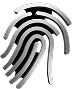 The Identity